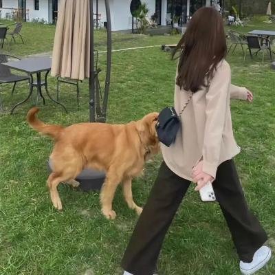 离婚好麻吉